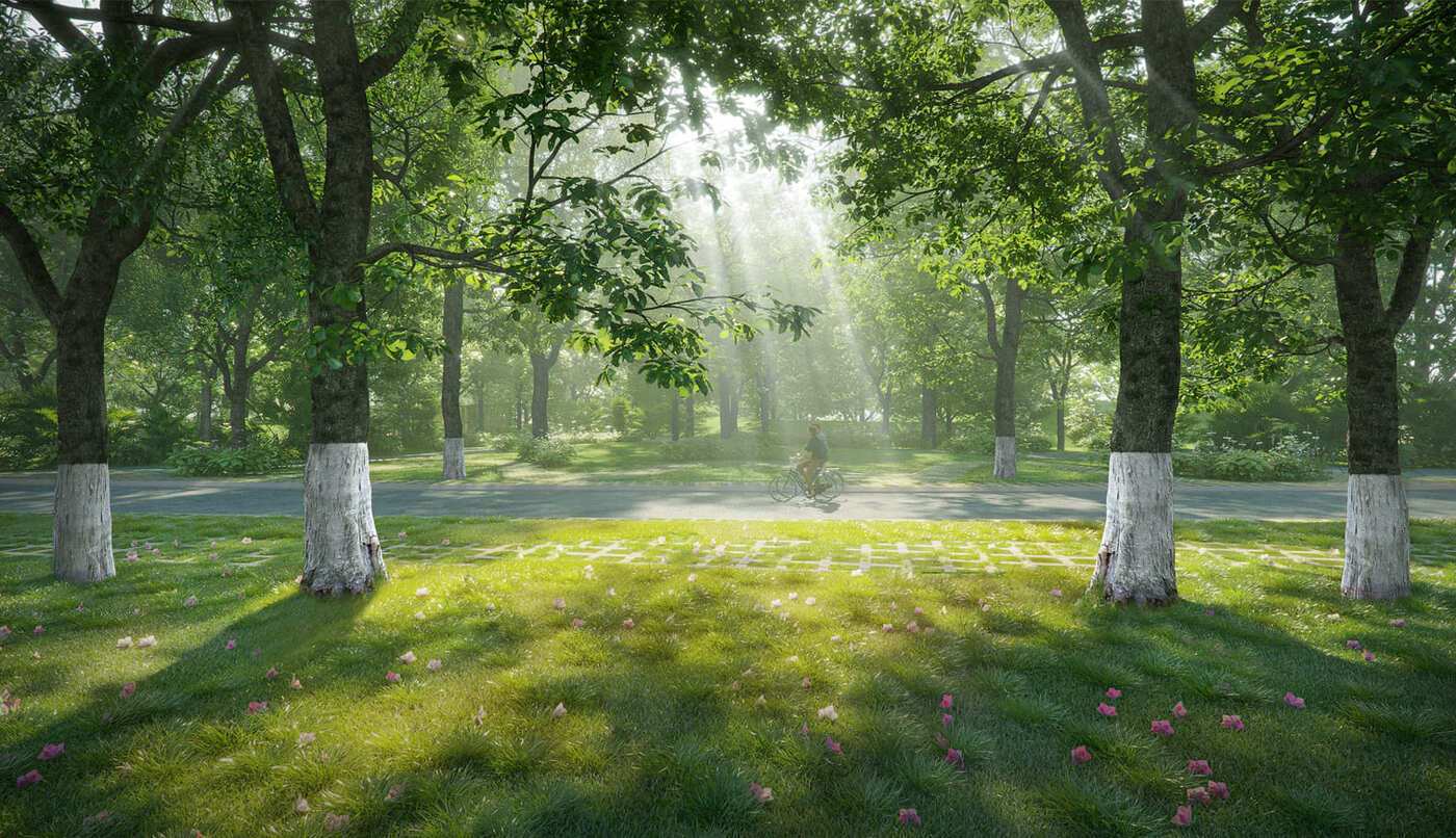 Đường đạp xe xuyên rừng